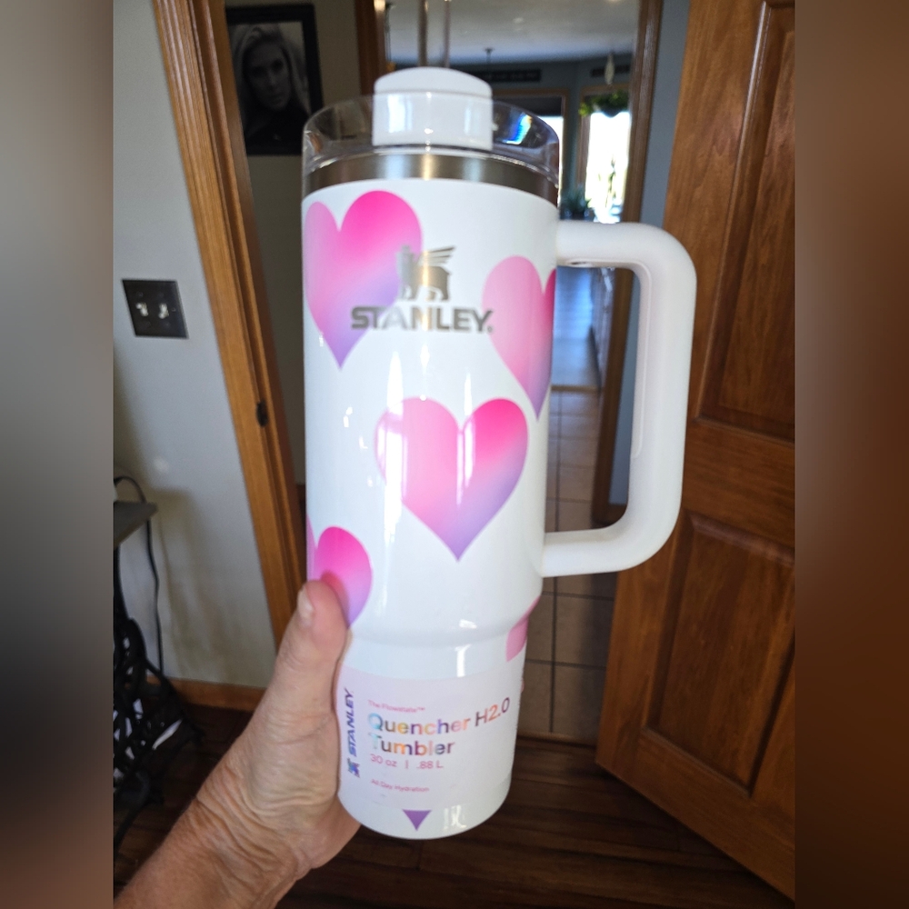 Valentines Stanley frost Gradient Heart 30 oz Tumbler cup